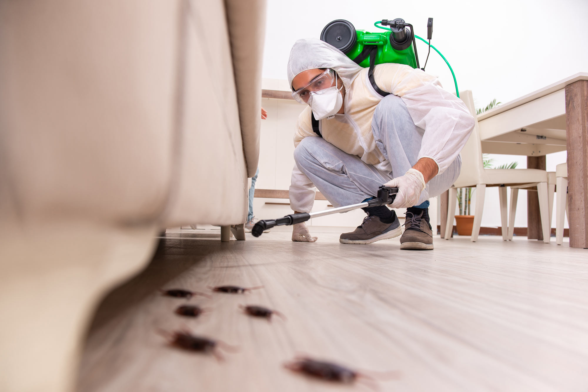Pest control technician